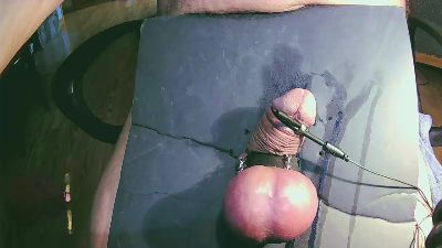 ballsring4 — Cam4 stream photo (Apr 2026)