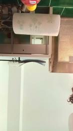 CriPriscilla — Cam4 stream photo (Sep 2026)