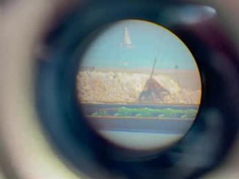 cleopatra_sinns — webcam model online on chaturbate