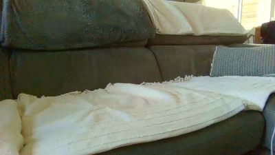 BadAssBzh56 — Cam4 stream photo (Sep 2026)