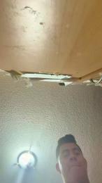 Vergateria — Cam4 stream photo (May 2026)