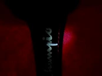 thejacob_d — Chaturbate stream photo (Jun 2026)