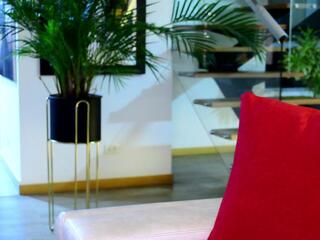 Lukhas — Flirt4free stream photo (Apr 2026)