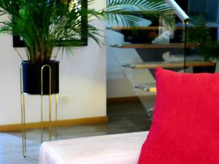 Lukhas — Flirt4free stream photo (Apr 2026)