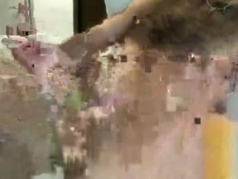 girlswanthis — Chaturbate stream photo (Sep 2026)