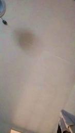 TuyaAa — Cam4 stream photo (Sep 2026)