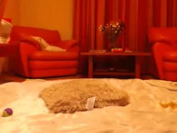 andrasweetie — chaturbate