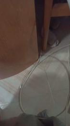 BigAnaconda2004 — Cam4 stream photo (Jul 2026)