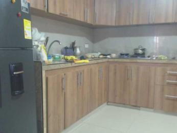 flacapaola11 — Bongacams stream photo (Aug 2025)