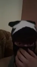 Hz1Tr — Stripchat stream photo (Jun 2026)