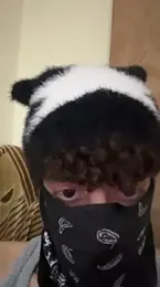 Hz1Tr — Stripchat stream photo (Jun 2026)