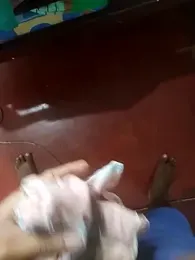 black_panth99 — stripchat