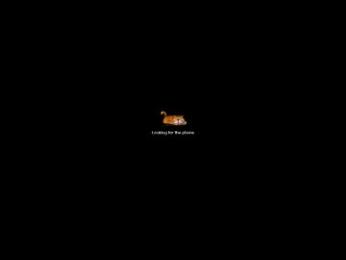 konfetochka77 — chaturbate