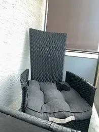 chubaka1111 — Stripchat stream photo (Aug 2026)