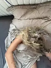 MileySummer — Stripchat stream photo (Jun 2026)