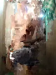 Forest_lover24 — Stripchat stream photo (Apr 2026)