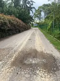 toritoga — webcam model online on stripchat