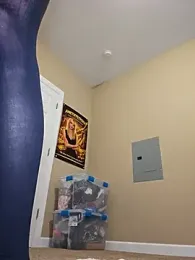 AmethystFoxx — Stripchat stream photo (Apr 2026)