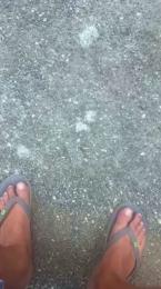 Pierus — Cam4 stream photo (Jul 2026)