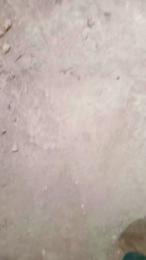 osopajas2 — Cam4 stream photo (Jun 2026)