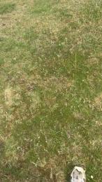 Muludu — Cam4 stream photo (Jun 2026)