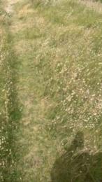 Muludu — Cam4 stream photo (Jun 2026)