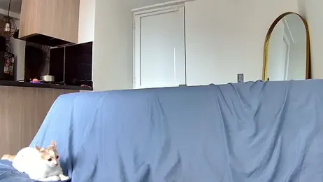 beckyangel1 — stripchat
