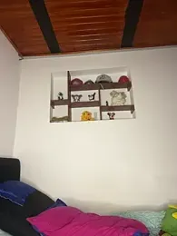 hotwife26 — Stripchat stream photo (Apr 2026)