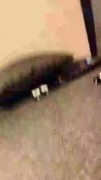 Girltroia — Cam4 stream photo (Oct 2026)