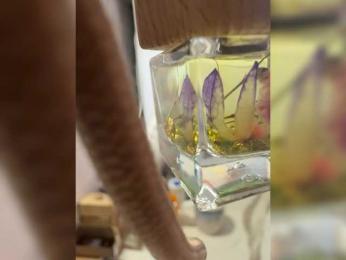 VIP17CoupleDream — Bongacams stream photo (Apr 2026)