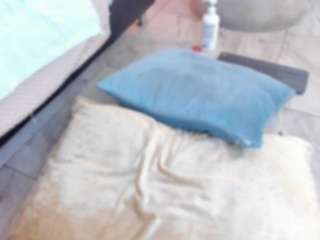 gipsytreen — Camsoda stream photo (Sep 2026)