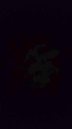 vogliadiculo1 — Cam4 stream photo (Nov 2025)