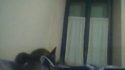 BangerGirl50 — webcam model online on cam4