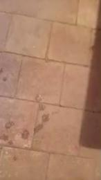johnboyy — Cam4 stream photo (Sep 2026)