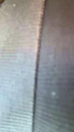 Yiyafox — Cam4 stream photo (Aug 2026)