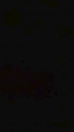 Yiyafox — Cam4 stream photo (Aug 2026)