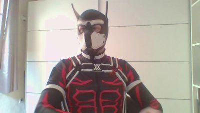 GelberBengel2ES — Cam4 stream photo (Mar 2026)