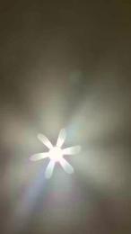 Talegas69 — Cam4 stream photo (Jul 2026)