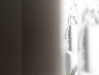 LittlePolish — Bongacams stream photo (Apr 2026)