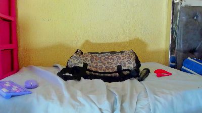 glenda_ray — Cam4 stream photo (Jun 2026)