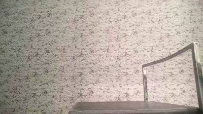 Quiperte — Cam4 stream photo (Aug 2026)
