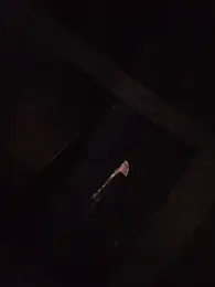 afTerparTycloudz — webcam model online on stripchat