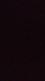 Spritz55 — Cam4 stream photo (Apr 2026)