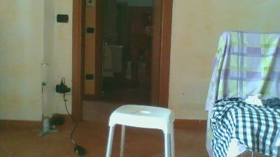 slavexu — Cam4 stream photo (May 2025)