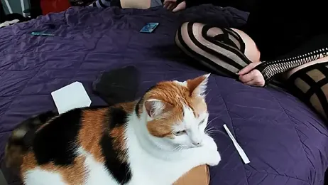 PolyCircus — Stripchat stream photo (Apr 2026)