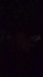 latinomulat1 — webcam model online on cam4