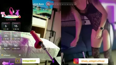 WildgirlShow — Stripchat stream photo (May 2026)