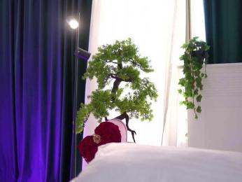 ArtTeasee — webcam model online on bongacams