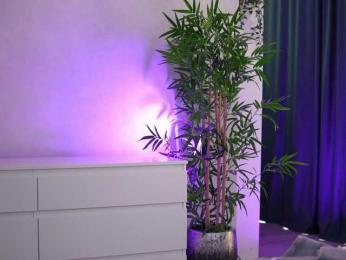 ArtTeasee — webcam model online on bongacams