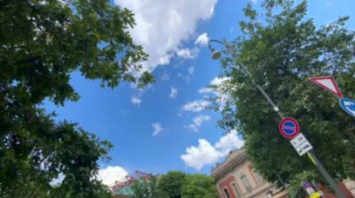 Travo23cm — Cam4 stream photo (May 2026)